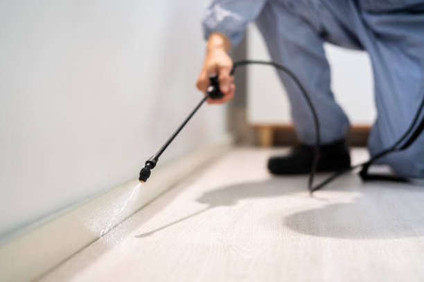 Licensed Mosquito Control service in Arabi, LA - Show Me Pest Control