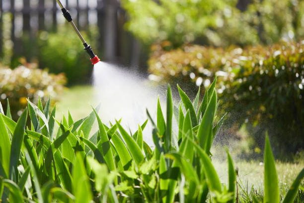 24/7 Emergency Mosquito Control experts in Arabi, LA