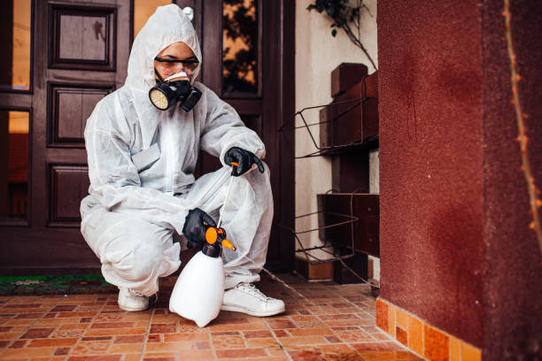 Reliable Mosquito Control contractor in Arabi, LA by Show Me Pest Control